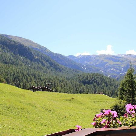 Haus Pan Daire Zermatt Dış mekan fotoğraf